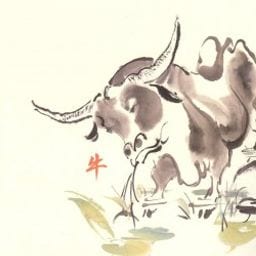 Buffalo