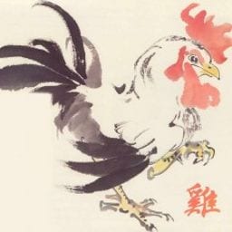 Rooster