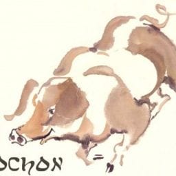 Pig
