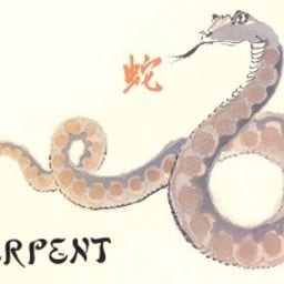 Snake