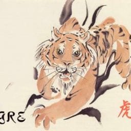 Sternzeichen Tiger
